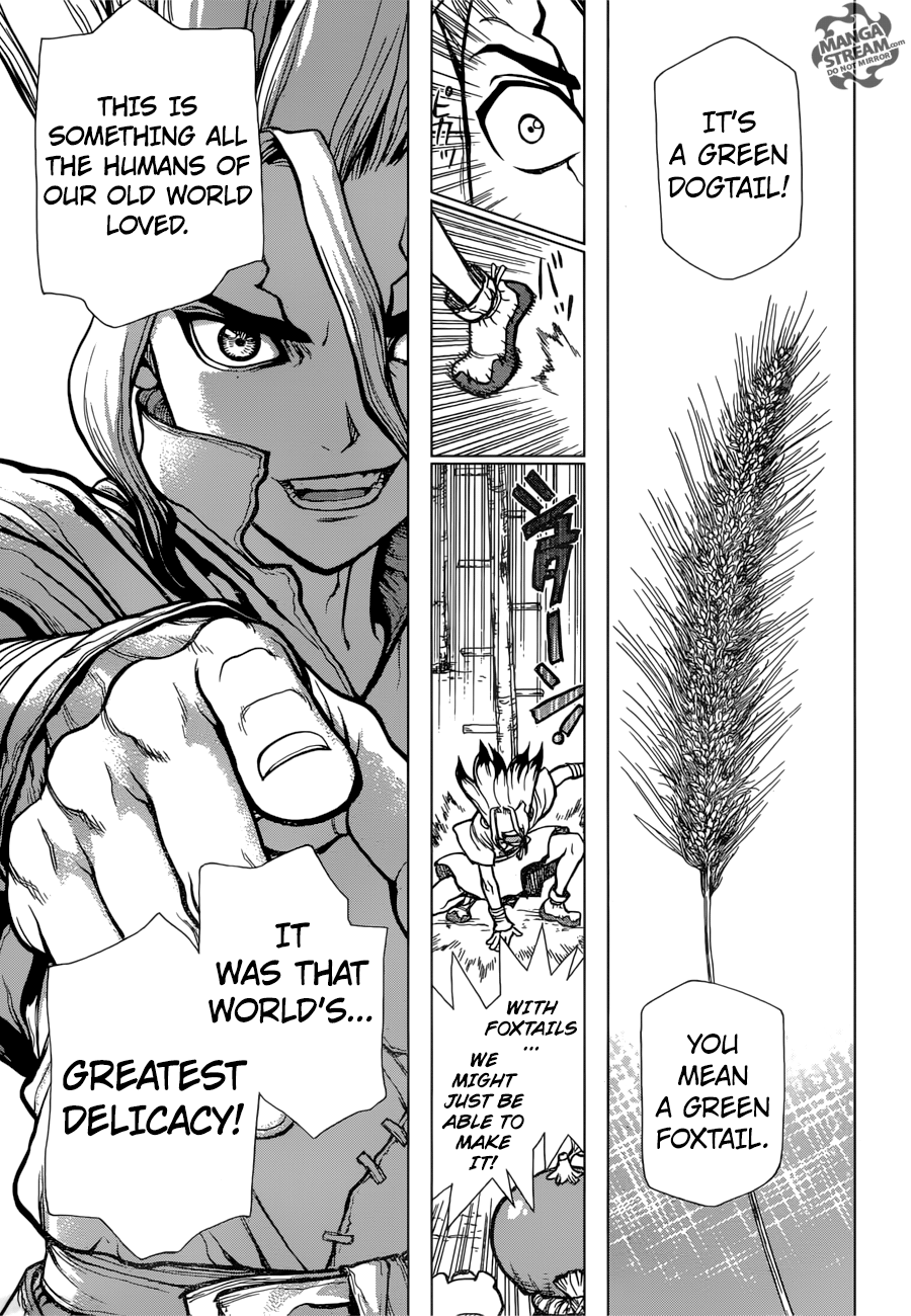 Dr. Stone Chapter 22 10